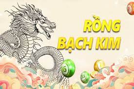 Rồng bạch kim chốt số ngày 28/04/2026