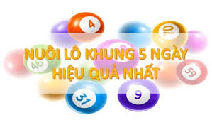 Cách nuôi lô khung 5 ngày hay miễn phí