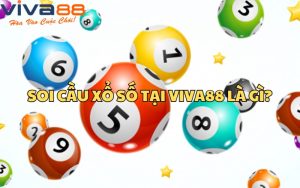 Viva88 - Nhà cái uy tín trong lĩnh vực soi cầu xổ số