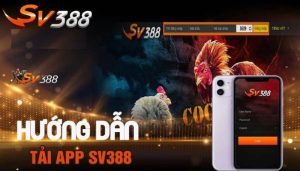 Chi tiết cách tải app SV388