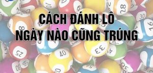 Hướng dẫn cách chơi lô nuôi hiệu quả