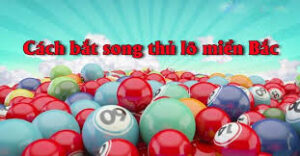 Bí kíp bắt song thủ lô