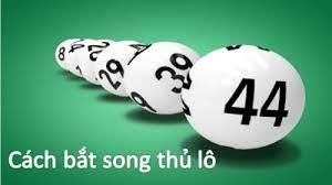 Bí kíp bắt song thủ lô