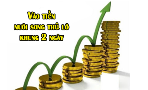 cách vào tiền song thủ khung 2 ngày