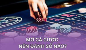 Khám phá những con số “vàng