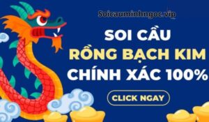 RBK là công cụ hỗ trợ soi cầu được nhiều anh em lựa chọn