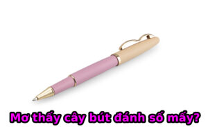 Mơ thấy cái bút đánh số mấy