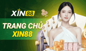 Nhà cái XIN88