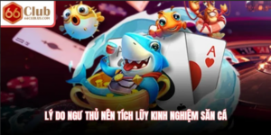 Lý do ngư thủ nên tích lũy kinh nghiệm săn cá