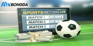 Hiểu rõ ý nghĩa từng loại tỷ lệ giúp nâng cao khả năng nhận định