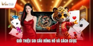 Giới thiệu soi cầu rồng hổ và cách cược