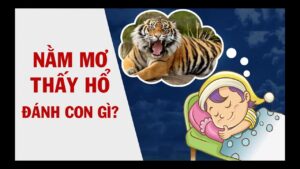 Mơ thấy con hổ đánh số mấy