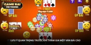 Lưu ý quan trọng trước khi tham gia một ván bài cào