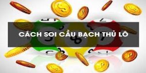 Soi cầu bạch thủ miền bắc từ lô rơi