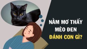 Mơ thấy con mèo đánh xổ số con gì