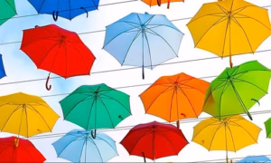 Mơ thấy chiếc ô dù đánh số gì