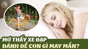 Mơ xẻ đạp đánh lô đề gì
