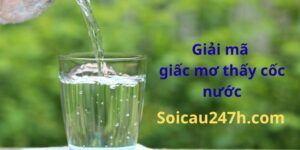 Mơ thấy cốc nước đánh số mấy